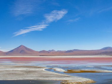 Pukaqucha 'nın geniş görüşü Eduardo Avaroa' daki kırmızı göl And Hayvanat Bahçesi Ulusal Rezervi Bolivya