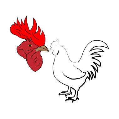 İllüstrasyon, vektör, tavuk, horoz, ikon, çiftlik, hayvan, yalıtılmış, kuş, kümes hayvanı, penis, sembol, görüntü,
