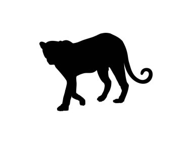 Walking (Standing) Tiger, Leopard, Cheetah, Black Panther, Jaguar, (Big Cat Family) Silhouette for Logo or Graphic Design Element. Vector Illustration