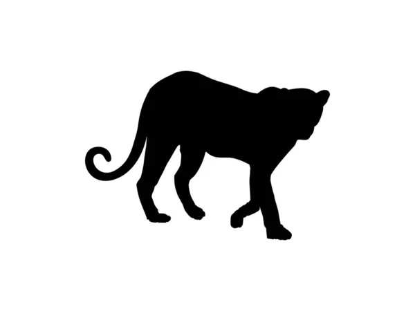Walking Standing Tiger Leopard Cheetah Black Panther Jaguar Big Cat — Wektor stockowy