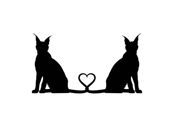 Pair Caracal Cat Silhouette Art Illustration Logo Pictogram Website Graphic — Stock Vector
