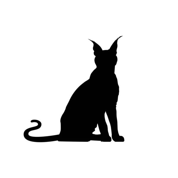 Silueta Gato Caracal Para Ilustración Arte Logotipo Pictograma Sitio Web — Archivo Imágenes Vectoriales