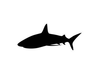 Logo için Shark Silhouette, Pictogram, Website, Art Illustration, Infographic veya Grafik Tasarım Elemanı. Vektör İllüstrasyonu