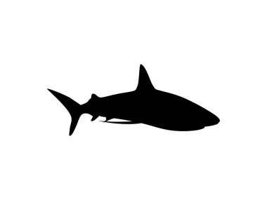 Logo için Shark Silhouette, Pictogram, Website, Art Illustration, Infographic veya Grafik Tasarım Elemanı. Vektör İllüstrasyonu