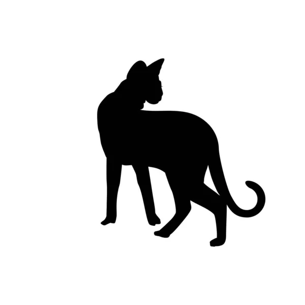 Sylwetka Savanah Cat Ilustracji Sztuki Logo Piktogramu Strony Internetowej Lub — Wektor stockowy