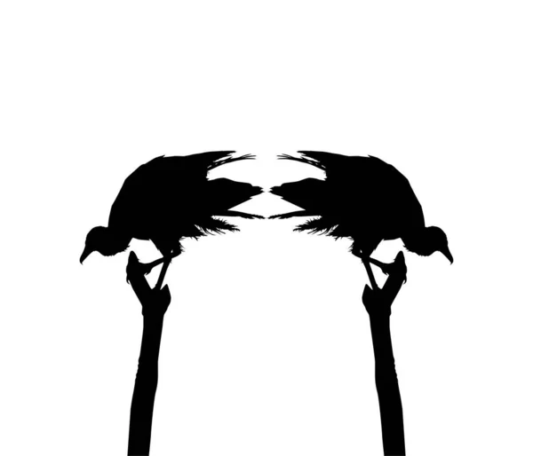 Silhueta Abutre Negro Pássaro Com Base Minha Fotografia Como Referência —  Vetores de Stock
