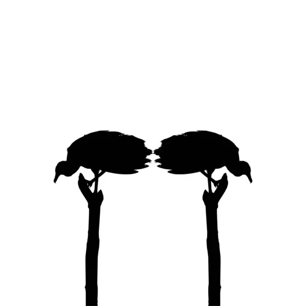 Silueta Del Pájaro Buitre Negro Basado Fotografía Como Referencia Imagen — Archivo Imágenes Vectoriales