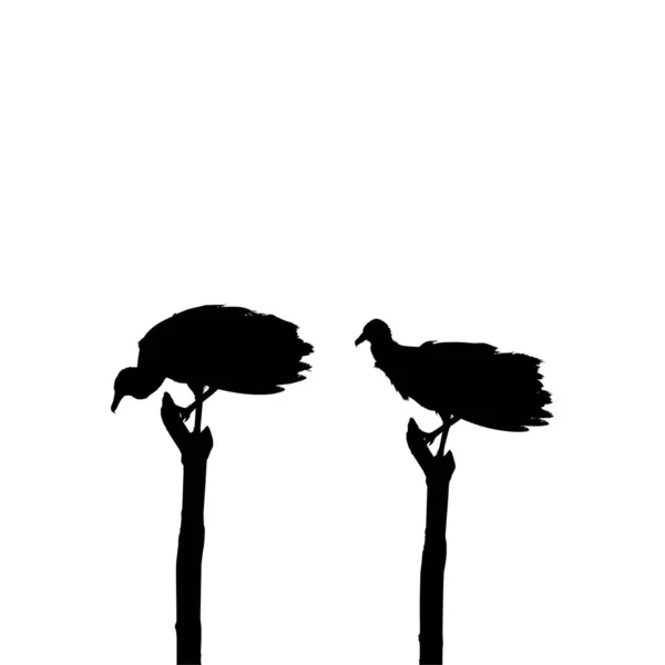 Силуэт Черной Птицы Основанный Моей Графике Качестве Иллюстрации Location Nickerie — стоковый вектор