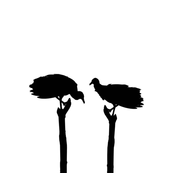 Sylwetka Black Vulture Bird Podstawie Mojej Fotografii Jako Image Reference — Wektor stockowy