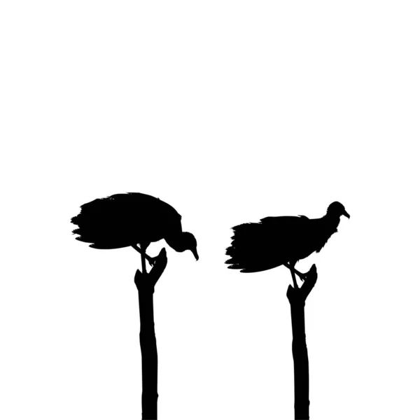 Silhouette Black Vulture Bird Basé Sur Photographie Comme Référence Image — Image vectorielle