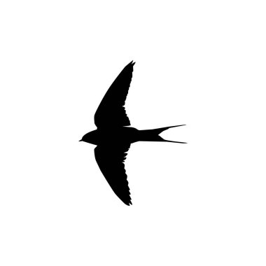 Flying of the Swallows, Martins, and Saw wings, or Hirundinidae Bird Silhouette for Logo, Pictogram, Website, Art Illustration or Graphic Design Element. Vector Illustration
