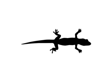 House Lizard also called House Gecko or Gekkonidae Silhouette for Art Illustration, Logo, Pictogram or Graphic Design Element. Vector Illustration
