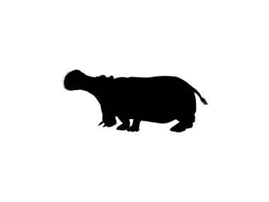Logo, Sanat Illustration, Simge, Sembol, Pictogram veya Grafik Tasarım Elemanı için Hippopotamus Silhouette. Vektör İllüstrasyonu
