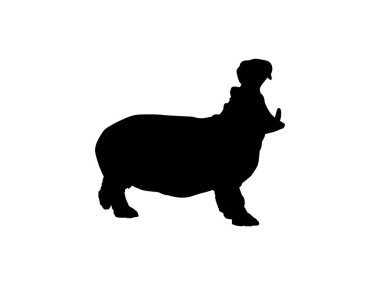 Logo, Sanat Illustration, Simge, Sembol, Pictogram veya Grafik Tasarım Elemanı için Hippopotamus Silhouette. Vektör İllüstrasyonu