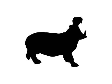 Logo, Sanat Illustration, Simge, Sembol, Pictogram veya Grafik Tasarım Elemanı için Hippopotamus Silhouette. Vektör İllüstrasyonu