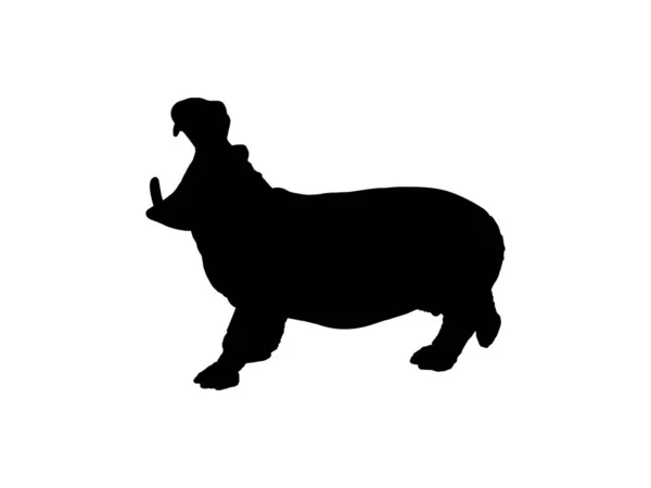 Sylwetka Hipopotama Logo Ilustracji Sztuki Ikony Symbolu Piktogramu Lub Elementu — Wektor stockowy