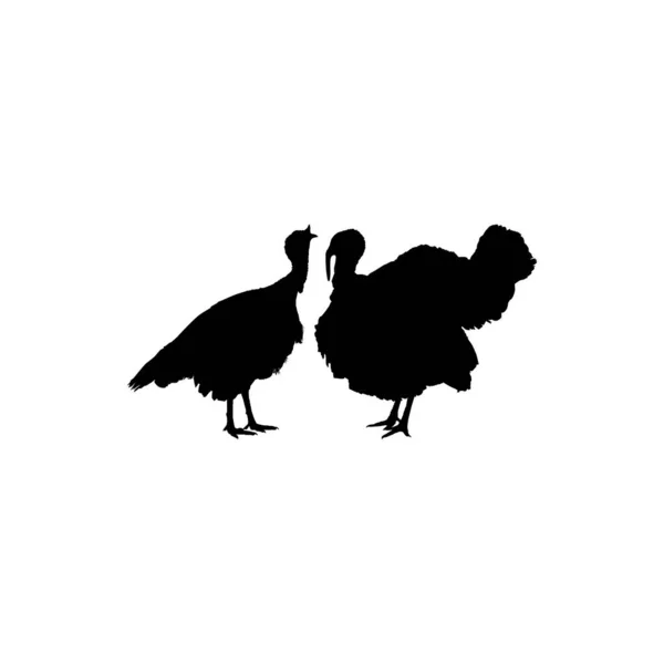 芸術イラスト ピクトグラムやグラフィックデザイン要素のためのトルコシルエットのペア トルコはメラグリス属の大きな鳥です ベクターイラスト — ストックベクタ