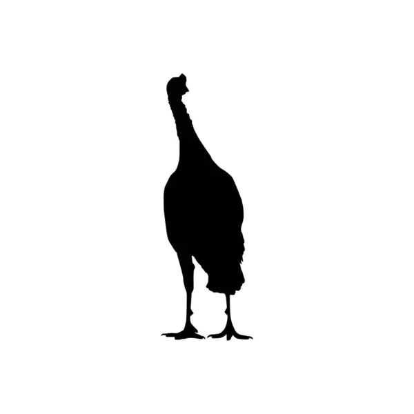 アートイラスト ピクトグラムやグラフィックデザイン要素のためのトルコシルエット トルコはメラグリス属の大きな鳥です ベクターイラスト — ストックベクタ