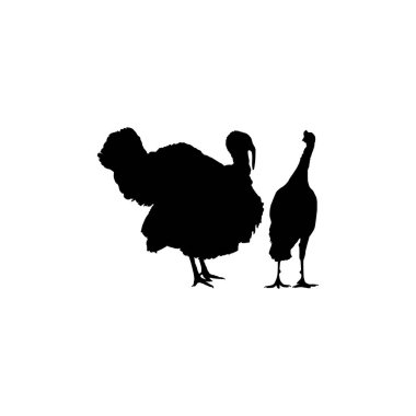 Sanat Illustration, Pictogram veya Grafik Tasarım Elementi için Türkiye Silueti. Türkiye, Meleagris cinsinde büyük bir kuştur. Vektör İllüstrasyonu