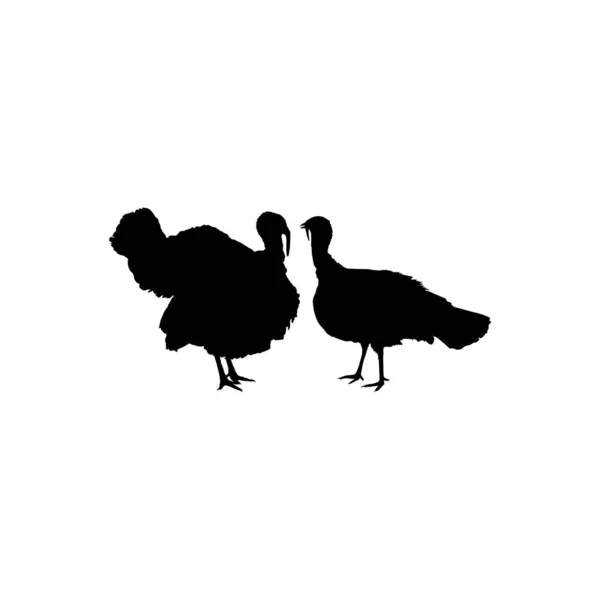 土耳其艺术图解 象形文字或平面设计元素的缩影 土耳其是属于梅利西里斯的一种大型鸟类 病媒图解 — 图库矢量图片