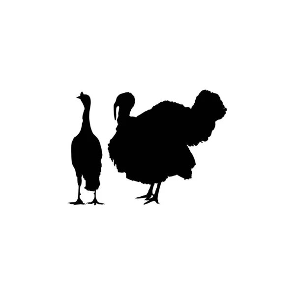 芸術イラスト ピクトグラムやグラフィックデザイン要素のためのトルコシルエットのペア トルコはメラグリス属の大きな鳥です ベクターイラスト — ストックベクタ