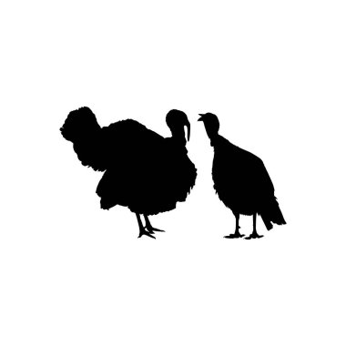 Sanat Illustration, Pictogram veya Grafik Tasarım Elementi için Türkiye Silueti. Türkiye, Meleagris cinsinde büyük bir kuştur. Vektör İllüstrasyonu