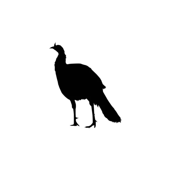 Turchia Silhouette Art Illustrazione Pittogramma Elemento Grafico Tacchino Grande Uccello — Vettoriale Stock