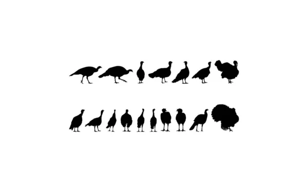 Flock Turkey Silhouette Art Illustration Pictogram Graphic Design Element Turkey —  Vetores de Stock