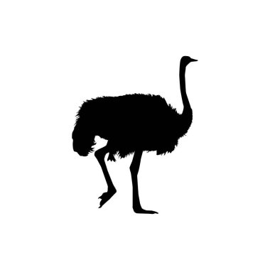 Devekuşu, Logo, Pictogram, Sanat Resimleri veya Grafik Tasarım Elementi için Siluet İzole Etti. Vektör İllüstrasyonu