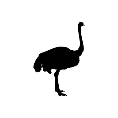Devekuşu, Logo, Pictogram, Sanat Resimleri veya Grafik Tasarım Elementi için Siluet İzole Etti. Vektör İllüstrasyonu
