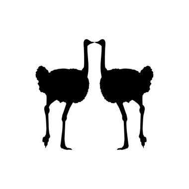 Pair of the Ostrich Silhouette for Logo, Pictogram, Art Illustration or Graphic Design Element. Vector Illustration