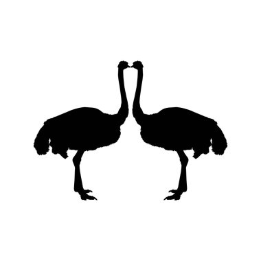 Pair of the Ostrich Silhouette for Logo, Pictogram, Art Illustration or Graphic Design Element. Vector Illustration