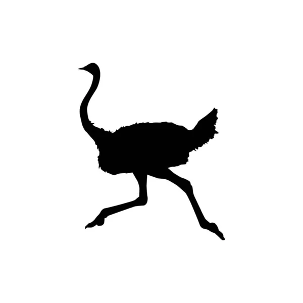 Silhouette Isolata Struzzo Logo Pittogramma Illustrazione Artistica Elemento Grafico Illustrazione — Vettoriale Stock