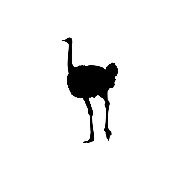 Ostrich Isolated Silhouette Logo Pictogram Art Illustration Graphic Design Element — 스톡 벡터
