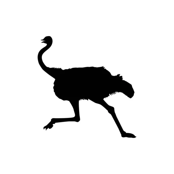 Ostrich Isolated Silhouette Logo Pictogram Art Illustration Graphic Design Element — Stock Vector