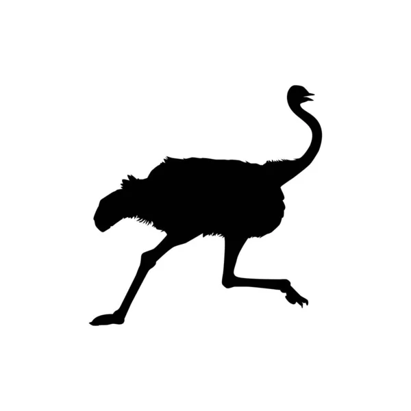 Ostrich Isolated Silhouette Logo Pictogram Art Illustration Graphic Design Element — Stock Vector