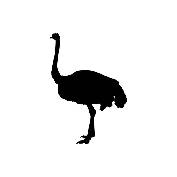 Ostrich Isolated Silhouette Logo Pictogram Art Illustration Graphic Design Element — 스톡 벡터