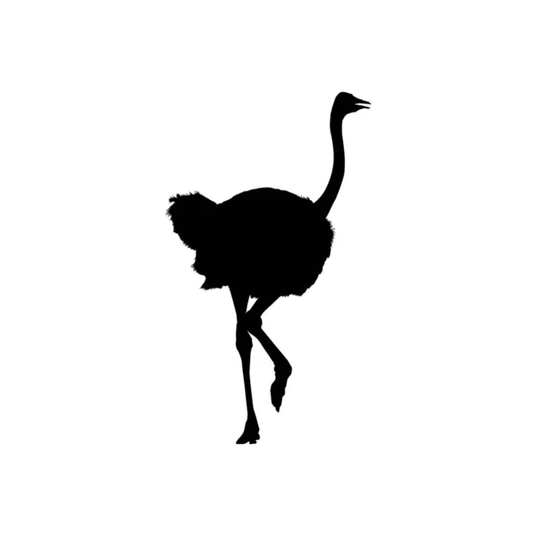 Struisvogel Geïsoleerd Silhouet Voor Logo Pictogram Art Illustration Graphic Design — Stockvector