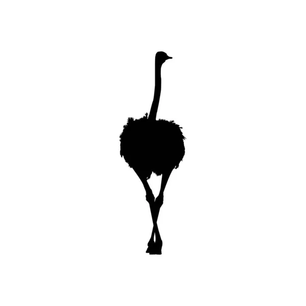 Struś Izolowana Sylwetka Logo Piktogram Ilustrację Sztuki Lub Element Graficzny — Wektor stockowy