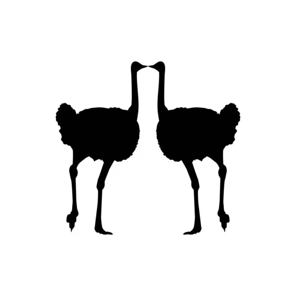 Pair Ostrich Silhouette Logo Pictogram Art Illustration Graphic Design Element — Stockvektor