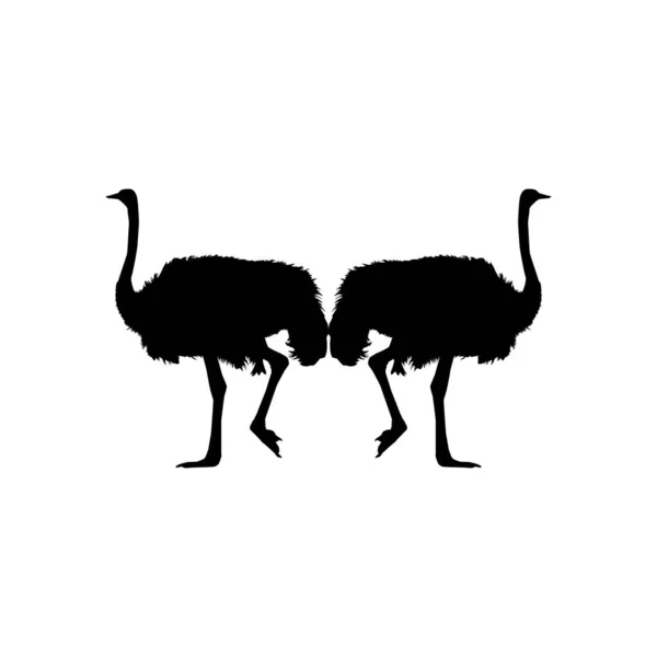 Pair Ostrich Silhouette Logo Pictogram Art Illustration Graphic Design Element — Stockvector