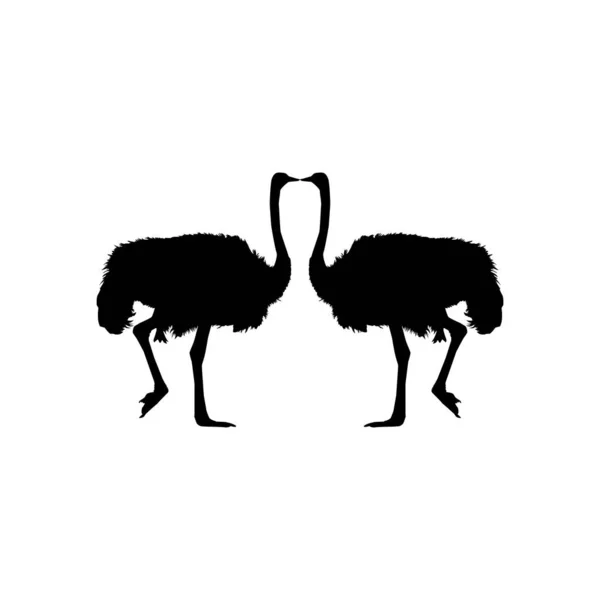 Pair Ostrich Silhouette Logo Pictogram Art Illustration Graphic Design Element —  Vetores de Stock