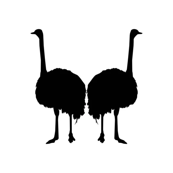 Pair Ostrich Silhouette Logo Pictogram Art Illustration Graphic Design Element — Stock Vector