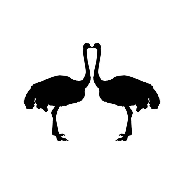 Pair Ostrich Silhouette Logo Pictogram Art Illustration Graphic Design Element — Vetor de Stock