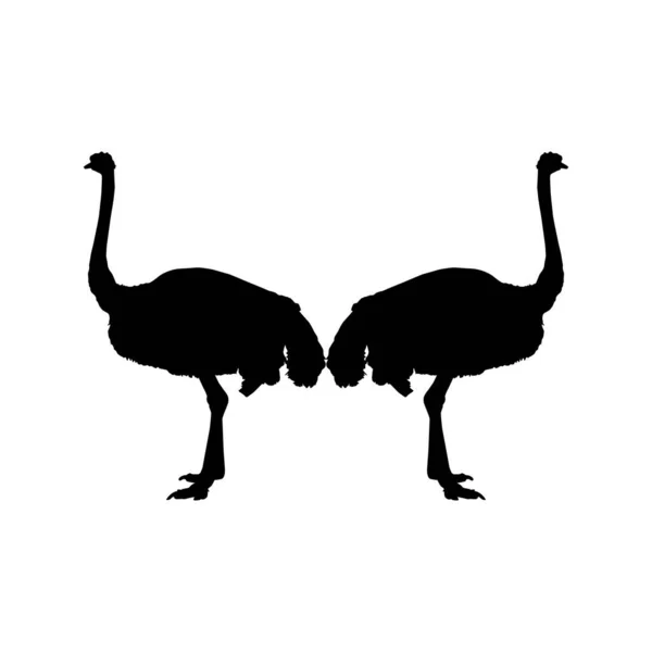 Pair Ostrich Silhouette Logo Pictogram Art Illustration Graphic Design Element — ストックベクタ