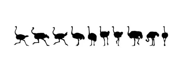 Flock Ostrich Silhouette Logo Pictogram Art Illustration Graphic Design Element — 스톡 벡터