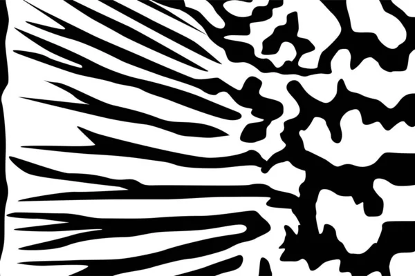Motifs Artistiques Motif Inspiré Par Symphysodon Discus Motifs Peau Poisson — Image vectorielle