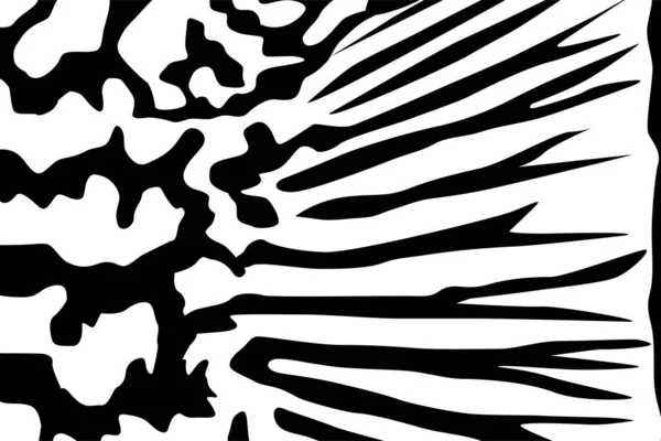 Motifs Artistiques Motif Inspiré Par Symphysodon Discus Motifs Peau Poisson — Image vectorielle