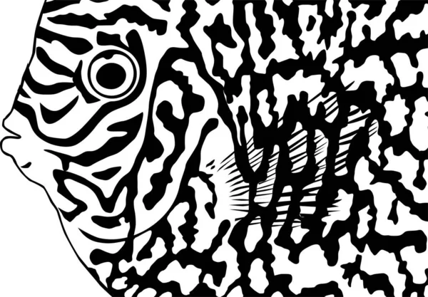 Symphysodon Discus Fish Skin Motiflerinden Esinlenilen Sanatsal Motifler Deseni Dekorasyon — Stok Vektör
