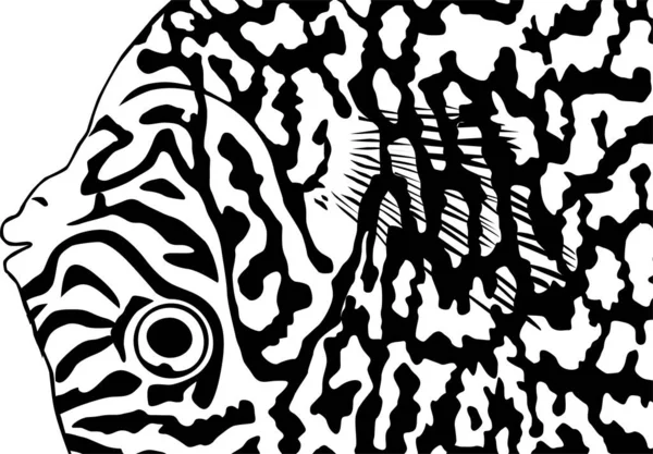 Dekorasyon, süsleme, arkaplan, web sitesi, duvar kağıdı, moda, iç kapak, hayvan baskısı veya grafik tasarım unsurundan esinlenerek, Symphysodon veya Discus Fish 'ten esinlenilmiş kusursuz Sanatsal Motifler Deseni